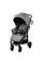 Silla de paseo Ness 2 gris Asalvo