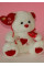 Oso "Te Amo" con Lazo 22CM - Peluche Tierno y Romántico (20,00 x 20,00 x 20,00) 50-62371