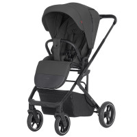 Silla de paseo Alfa Stroller Graphite Grey
