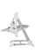 Многофункциональный стульчик CARRELLO Cascata Ash Grey