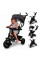 Triciclo Evolutivo LULU negro 3 en 1
