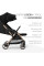 Silla de paseo autoplegable Eden Negro