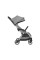 Silla de paseo autoplegable Eden Gris