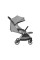 Silla de paseo autoplegable Eden Gris