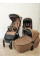 Carrito de bebé 2 en 1 Anex IQ Basic Sienna. Tres funciones: cochecito dúo y silla ligera de paseo.