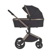 Carrito de bebé 2 en 1 Anex Flo Solo