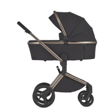 Carrito de bebé 2 en 1 Anex Flo Solo