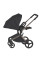 Carrito de bebé 2 en 1 Anex Flo Solo