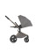 Carrito de bebé 2 en 1 Anex Flo Charm