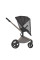 Carrito de bebé 2 en 1 Anex Flo Charm