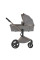 Carrito de bebé 2 en 1 Anex Flo Charm