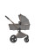 Carrito de bebé 2 en 1 Anex Flo Charm