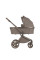 Carrito de bebé 2 en 1 Anex Flo Yuki