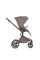 Carrito de bebé 2 en 1 Anex Flo Yuki