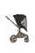Carrito de bebé 2 en 1 Anex Flo Yuki