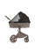 Carrito de bebé 2 en 1 Anex Flo Yuki
