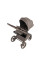Carrito de bebé 2 en 1 Anex Flo Yuki