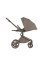 Carrito de bebé 2 en 1 Anex Flo Yuki