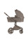 Carrito de bebé 2 en 1 Anex Flo Yuki