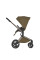 Carrito de bebé 2 en 1 Anex Flo Astra