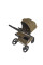 Carrito de bebé 2 en 1 Anex Flo Astra