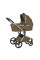 Carrito de bebé 2 en 1 Anex Flo Astra