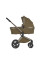 Carrito de bebé 2 en 1 Anex Flo Astra