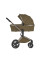 Carrito de bebé 2 en 1 Anex Flo Astra