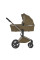 Carrito de bebé 2 en 1 Anex Flo Astra