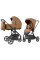 Детская коляска 2в1 CARRELLO Alfa CRL-6522 Honey Beige 2025