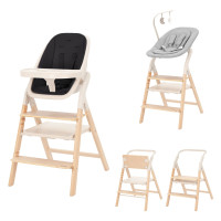 Детский стульчик для кормления CARRELLO ERGO CRL-16701 Obsidian Black
