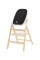 Детский стульчик для кормления CARRELLO ERGO CRL-16701 Obsidian Black