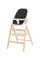 Детский стульчик для кормления CARRELLO ERGO CRL-16701 Obsidian Black