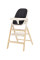 Детский стульчик для кормления CARRELLO ERGO CRL-16701 Obsidian Black