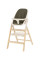 Детский стульчик для кормления CARRELLO ERGO CRL-16701 Pine Green