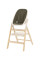Детский стульчик для кормления CARRELLO ERGO CRL-16701 Pine Green