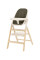 Детский стульчик для кормления CARRELLO ERGO CRL-16701 Pine Green