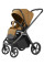Детская коляска 2в1 CARRELLO Vector CRL-6551 Golden Beige