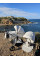 Cochecito 2 en 1 Dada Flux Almond