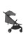 Carrito de bebé 2 en 1 Anex IQ Basic Luna. Tres funciones: cochecito dúo y silla ligera de paseo.