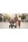 Carrito de bebé 2 en 1 Espiro Clodi Fashionable Brown