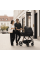 Espiro Miloo 2.0 Carro de bebé 310 Diamond Black (0-22 kg)