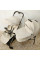 Carrito 2 en1 ANEX AIR-Q Vanille con capazo plegable