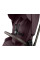 Carrito de bebé 2 en 1 Goya Platinum Merlot – KikkaBoo Prepedido para finales de augosto