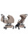 Pack ahorro: Carrito de bebé 2 en 1 CARRELLO Magia CRL-6555 + minicuna colecho CARRELLO Luna