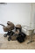 Pack CARRELLO: Carrito de bebé 2 en 1 Ultra F CRL-6557 Vintage Beige con capazo plegable+ Silla de auto Vega (Grupo 0+) + minicuna colecho Luna