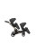 Cochecito gemelar 2 en 1 Kunert Brav Duo BD-02 Graphite con chasis negro o color champán