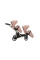 Cochecito gemelar 2 en 1 Kunert Brav Duo BD-04 Pink con chasis negro o color champán