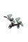 Cochecito gemelar 2 en 1 Kunert Brav Duo BD-05 Mint con chasis negro o color champán