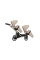 Cochecito gemelar 2 en 1 Kunert Brav Duo BD-06 Cream con chasis negro o color champán